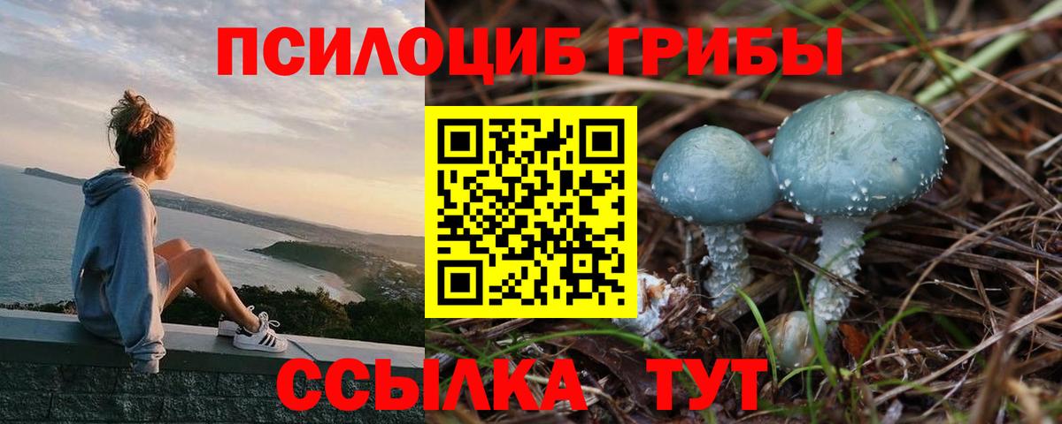 Галлюциногенные грибы Magic Shrooms  цена наркотик  Артёмовский  Псилоцибиновые грибы прущие грибы  Вход с VPN 